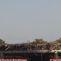 13_35-mast.jpg