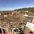 13_35-nest.jpg