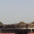 13_40-mast.jpg