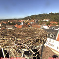 13_40-nest.jpg