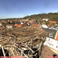 13_45-nest.jpg