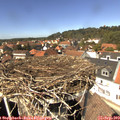 13_50-nest.jpg