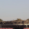 14_00-mast.jpg