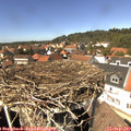 14_00-nest.jpg