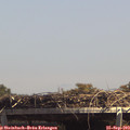 14_05-mast.jpg