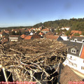 14_20-nest.jpg