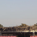 14_30-mast.jpg