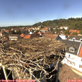 14_35-nest.jpg