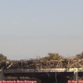 14_50-mast.jpg