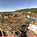 14_50-nest.jpg