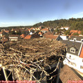 15_05-nest.jpg
