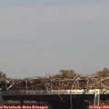15_15-mast.jpg