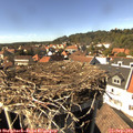 15_15-nest.jpg