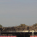 15_25-mast.jpg