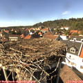 15_25-nest.jpg