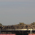 15_30-mast.jpg