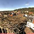 15_30-nest.jpg