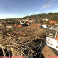15_35-nest.jpg