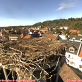 15_40-nest.jpg