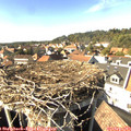 15_45-nest.jpg