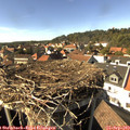 15_55-nest.jpg