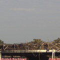 16_00-mast.jpg