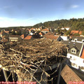 16_00-nest.jpg