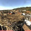 16_05-nest.jpg