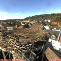 16_10-nest.jpg