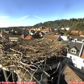 16_15-nest.jpg