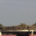 16_25-mast.jpg