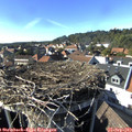 16_25-nest.jpg