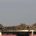 16_30-mast.jpg