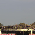 16_35-mast.jpg
