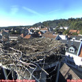 16_35-nest.jpg