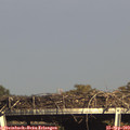 16_40-mast.jpg