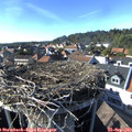 16_40-nest.jpg