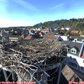16_45-nest.jpg