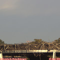 17_00-mast.jpg