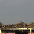 17_10-mast.jpg