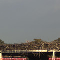 17_15-mast.jpg