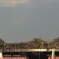 17_20-mast.jpg