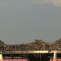 17_25-mast.jpg