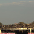 17_40-mast.jpg