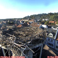 17_40-nest.jpg