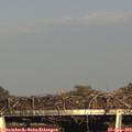 17_45-mast.jpg