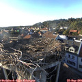18_00-nest.jpg