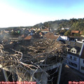 18_05-nest.jpg
