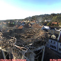 18_10-nest.jpg