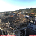 18_15-nest.jpg